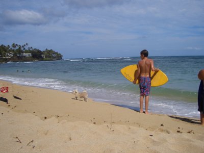 HAWI3786.JPG