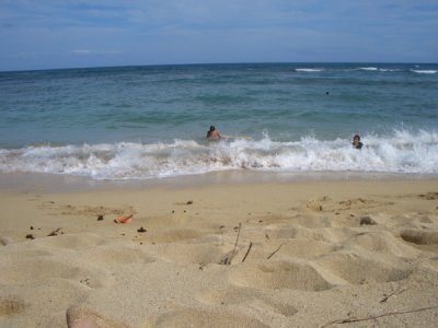 HAWI3787.JPG