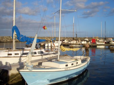 HAWI3794.JPG