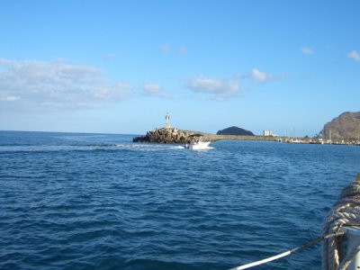 HAWI3809.JPG