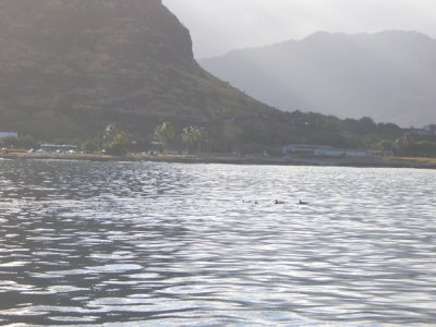 HAWI3817.JPG