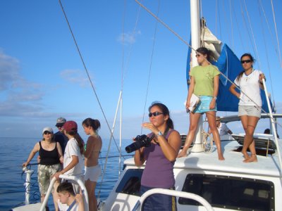 HAWI3824.JPG