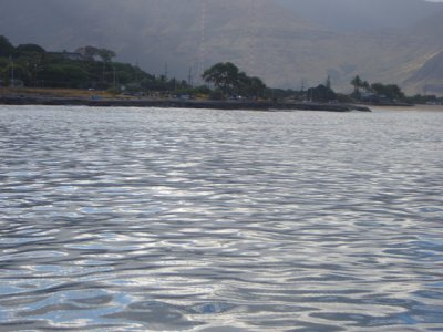 HAWI3827.JPG