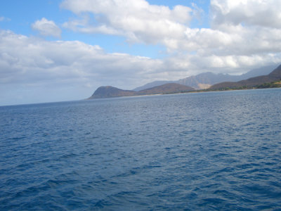 HAWI3861.JPG