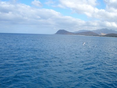 HAWI3865.JPG