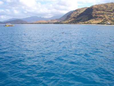 HAWI3874.JPG