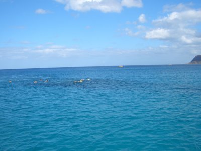 HAWI3875.JPG