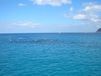 HAWI3876.JPG