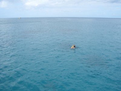 HAWI3879.JPG