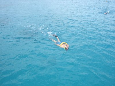 HAWI3880.JPG