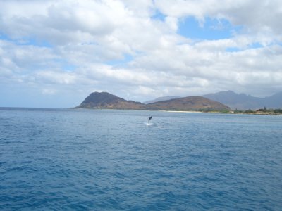 HAWI3883.JPG