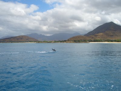 HAWI3914.JPG