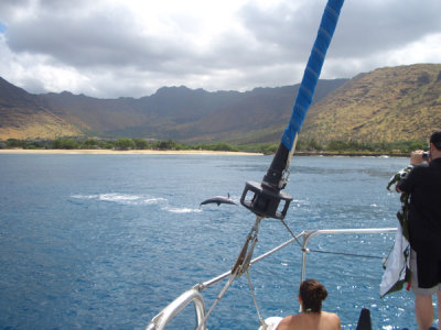 HAWI3924.JPG