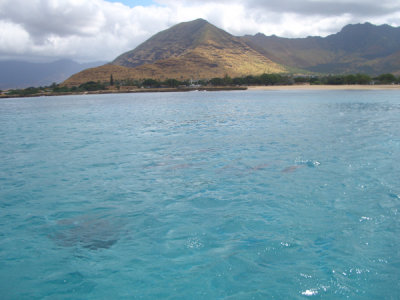 HAWI3932.JPG