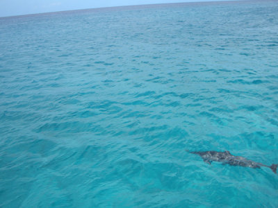 HAWI3933.JPG