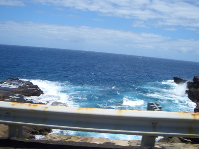 HAWI3942.JPG
