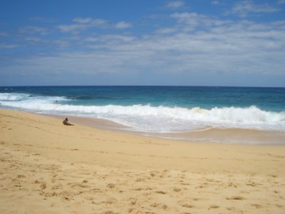 HAWI3951.JPG