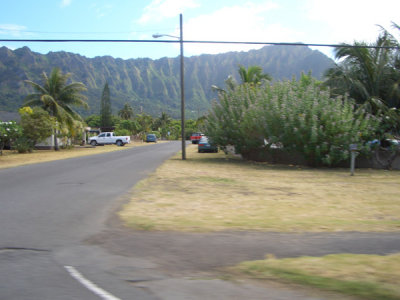 HAWI3967.JPG