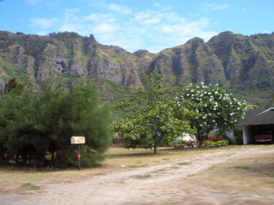 HAWI3970.JPG