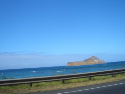 HAWI3972.JPG