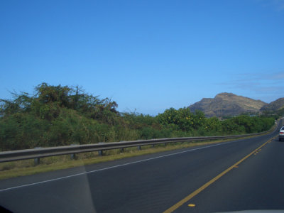 HAWI3973.JPG