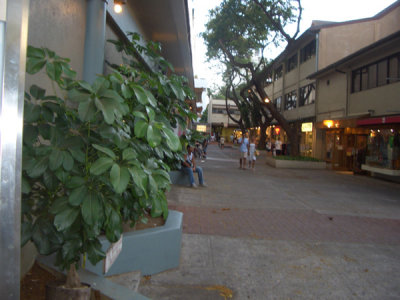 HAWI3975.JPG