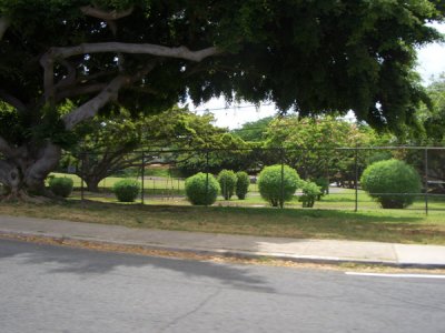 HAWI3976.JPG
