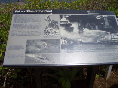 HAWI3994.JPG