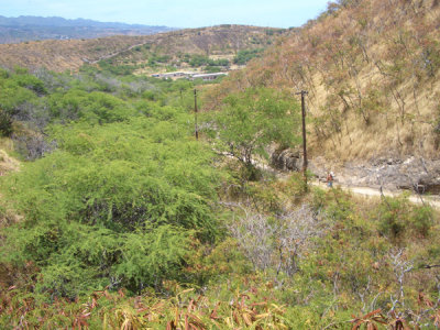 HAWI4007.JPG