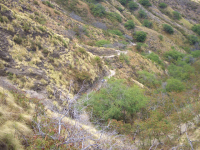 HAWI4011.JPG