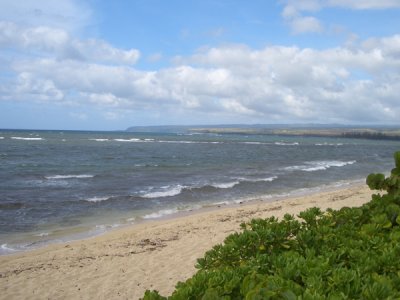 HAWI4061.JPG