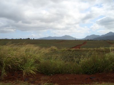 HAWI4064.JPG