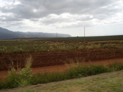 HAWI4067.JPG