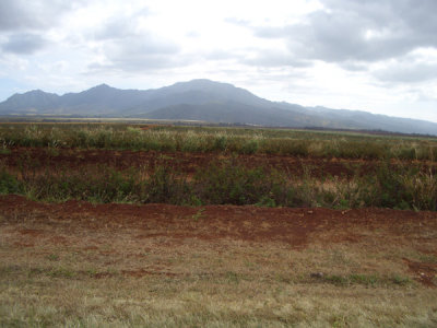 HAWI4068.JPG