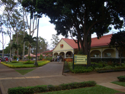 HAWI4071.JPG
