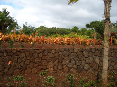 HAWI4083.JPG
