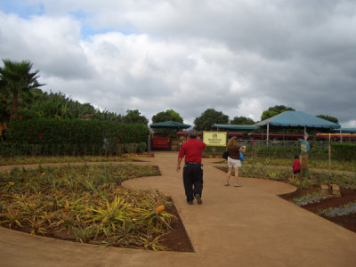 HAWI4086.JPG