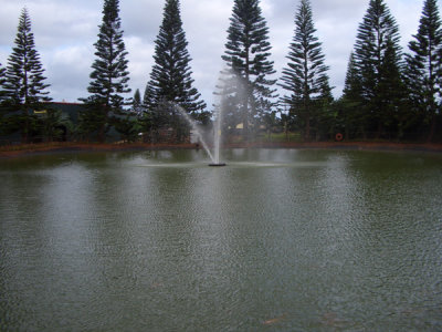 HAWI4088.JPG