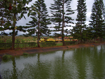HAWI4095.JPG