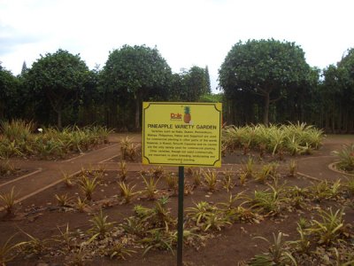 HAWI4101.JPG