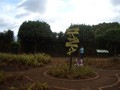 HAWI4102.JPG