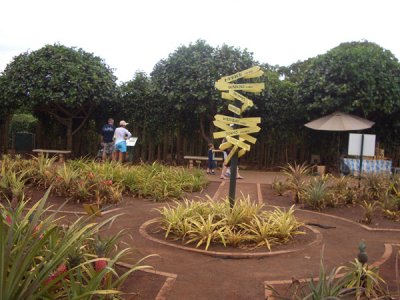 HAWI4103.JPG