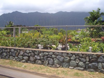 HAWI4186.JPG