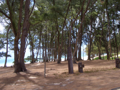 HAWI4190.JPG