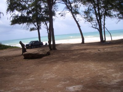 HAWI4191.JPG