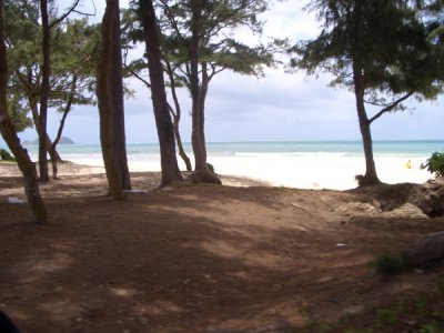 HAWI4192.JPG