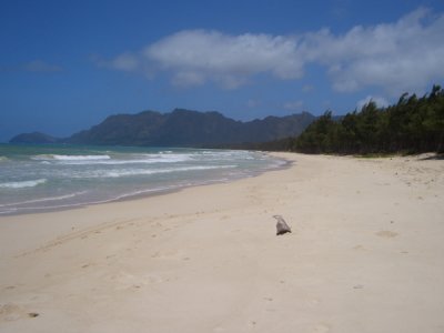 HAWI4194.JPG