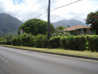 HAWI4202.JPG