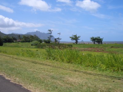 HAWI4208.JPG