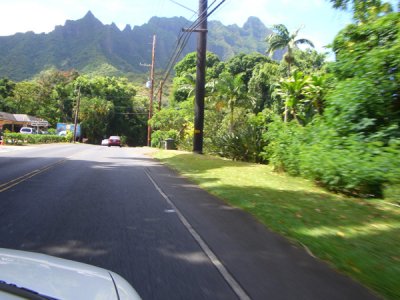 HAWI4214.JPG
